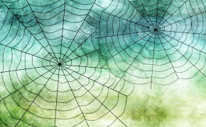 Halloween Spider Web Best Wallpaper 34778