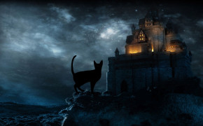 Halloween Black Cat HD Desktop Wallpapers 34269
