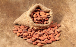 Almond Background Wallpapers 35248