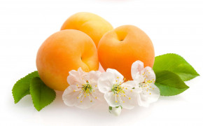Apricot Wallpapers Full HD 35282