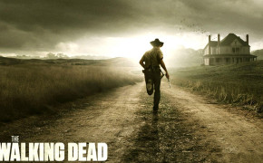 The Walking Dead HD Background Wallpaper 35730