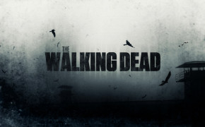 The Walking Dead Background Wallpapers 35724