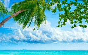 Tropical Beach Best HD Wallpaper 35749