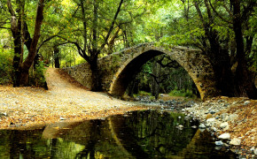 Forest Bridge Background Wallpapers 36480