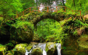 Forest Bridge Background HD Wallpapers 36478