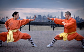 Kung Fu HD Wallpapers 03513