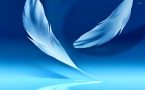 Feather Background Wallpapers 36801