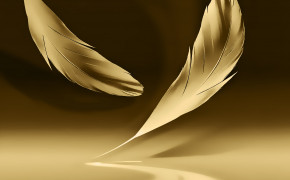 Feather Widescreen Wallpapers 36815