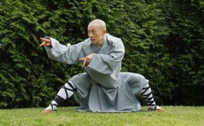 Kung Fu Wallpapers 03514
