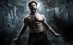 Wolverine Background HD Wallpapers 38163