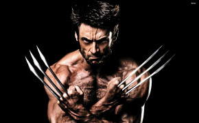 Wolverine HD Wallpapers 38174