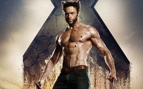 Wolverine Wallpapers Full HD 38178