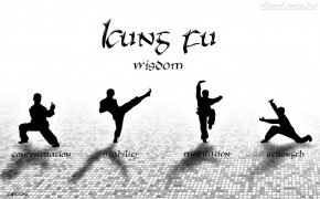 Kung Fu 03516