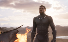 Black Panther Widescreen Wallpapers 37856