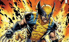 Marvel Comics Wolverine Widescreen Wallpapers 38010