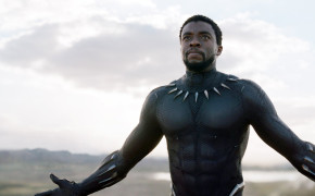 Black Panther Wallpapers Full HD 37855