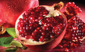 Pomegranate Wallpapers 03701