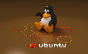 Ubuntu HD Pics 03762