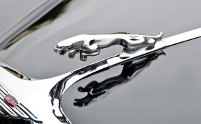 Jaguar Logo Wallpaper 00440