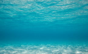 Underwater HD Pics 03774