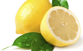 Lemon 03670