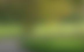 4K Green Blurred Background Desktop Wallpaper 40830