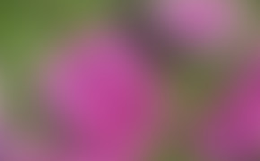 4K Plain Blurred Background Widescreen Wallpaper 40972