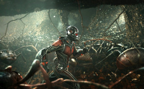 Ant-Man Wallpaper HD 41038
