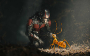 Marvel Ant-Man Background Wallpaper 41306