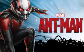 Ant-Man Background Wallpapers 41029