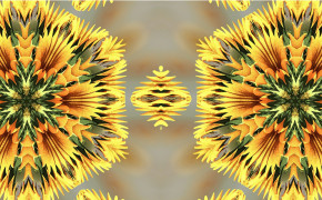 Kaleidoscope Widescreen Wallpapers 41858