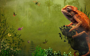 Chameleon HD 4K Wallpaper 41657