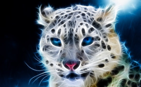 Cheetah Wallpaper 41681