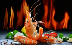 Shrimp Food Wallpaper HD 42082