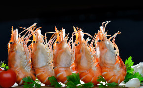 Shrimp Food Best HD 4K Wallpaper 42072
