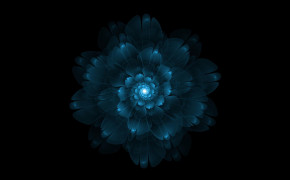 Shine Blue Flower Wallpaper 42318