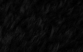 Black Hair Texture Wallpaper 42271