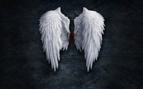 Angel Wings Wallpaper 00345