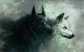 Wolf Best Wallpaper 42853