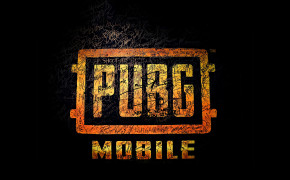 PUBG Mobile Wallpaper 43127