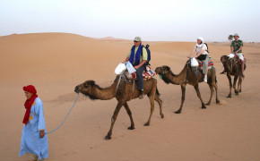 Camel Ride Wallpaper 43294
