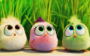 Baby Birds The Angry Birds Movie 2 Wallpaper 43280