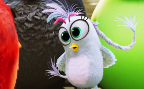 Silver Bird The Angry Birds Movie 2 Wallpaper 43376