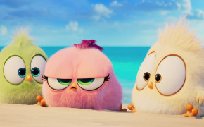 The Angry Birds Movie 2 HD Wallpaper 43391