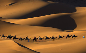 Camel Caravan Desert Wallpaper 43291