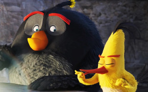 Black Bird The Angry Birds Movie 2 Wallpaper 43285