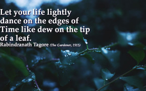 Rabindranath Tagore Quotes Desktop Wallpaper 43602