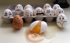 Funny Eggs Wallpaper HD 43509