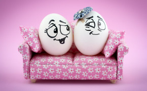 Funny Eggs Best HD Wallpaper 43501