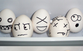 Funny Eggs High Definition Wallpaper 43508